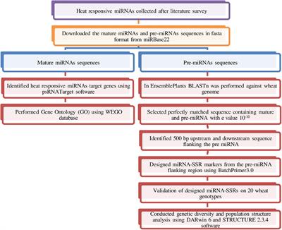 Discovery of miRNAs and Development of Heat-Responsive miRNA-SSR Markers for Characterization of Wheat Germplasm for Terminal Heat Tolerance Breeding